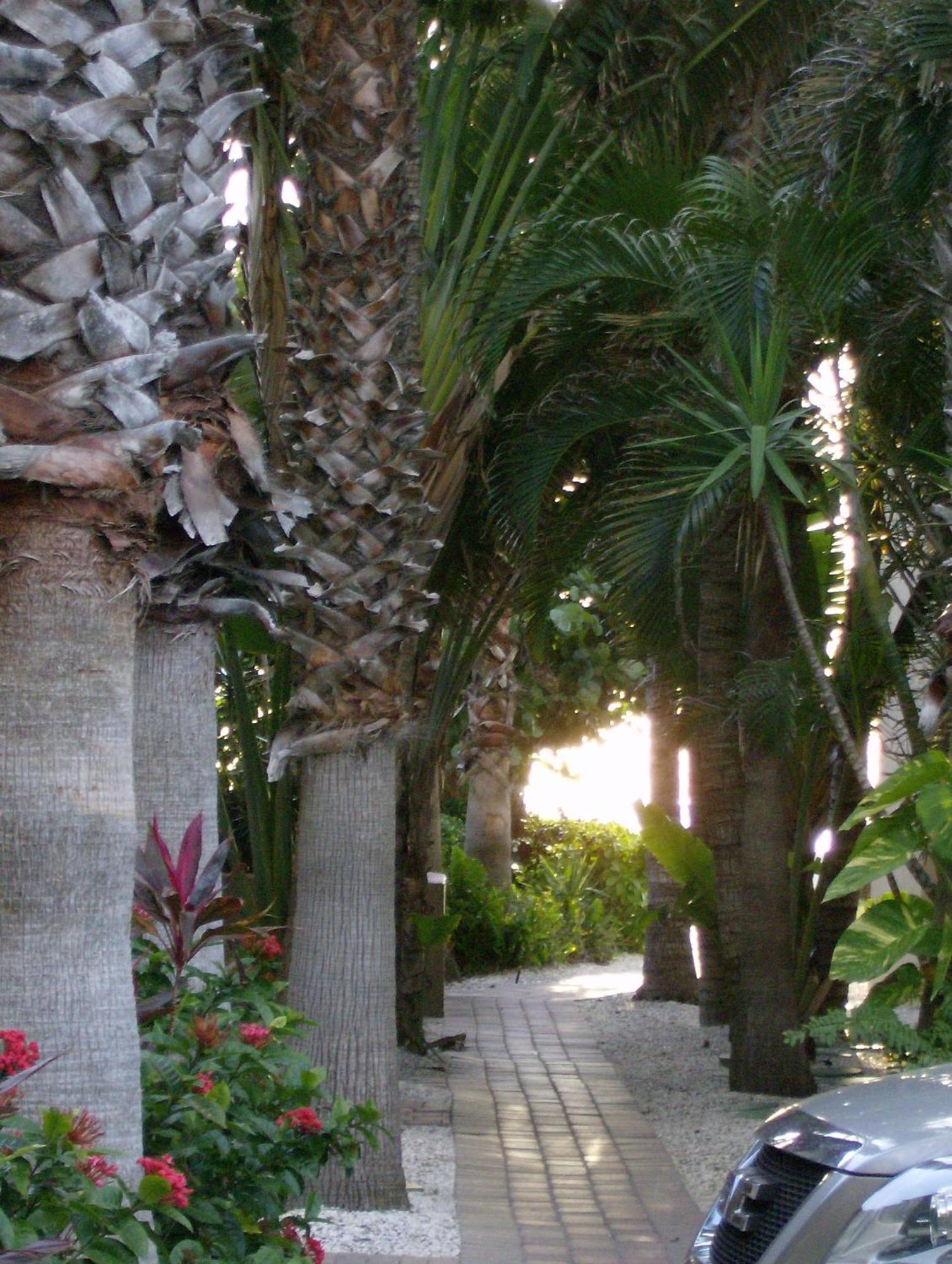 Turtle Crawl Inn - Longboat Key Exterior foto